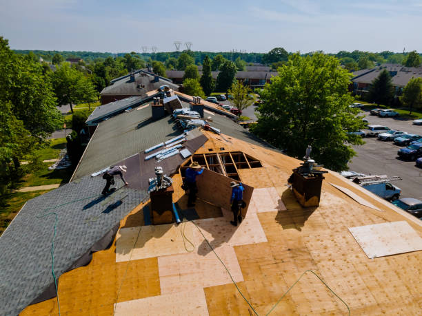 24/7 Emergency Roof Repair experts in Tannersville, VA